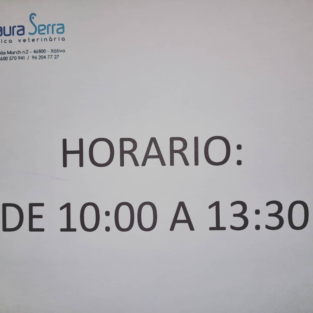 cl-nica-veterin-ria-laura-serra-j-tiva