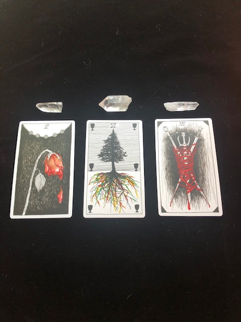 SpellBox - The cards have been revealed. The Wild Unknown...