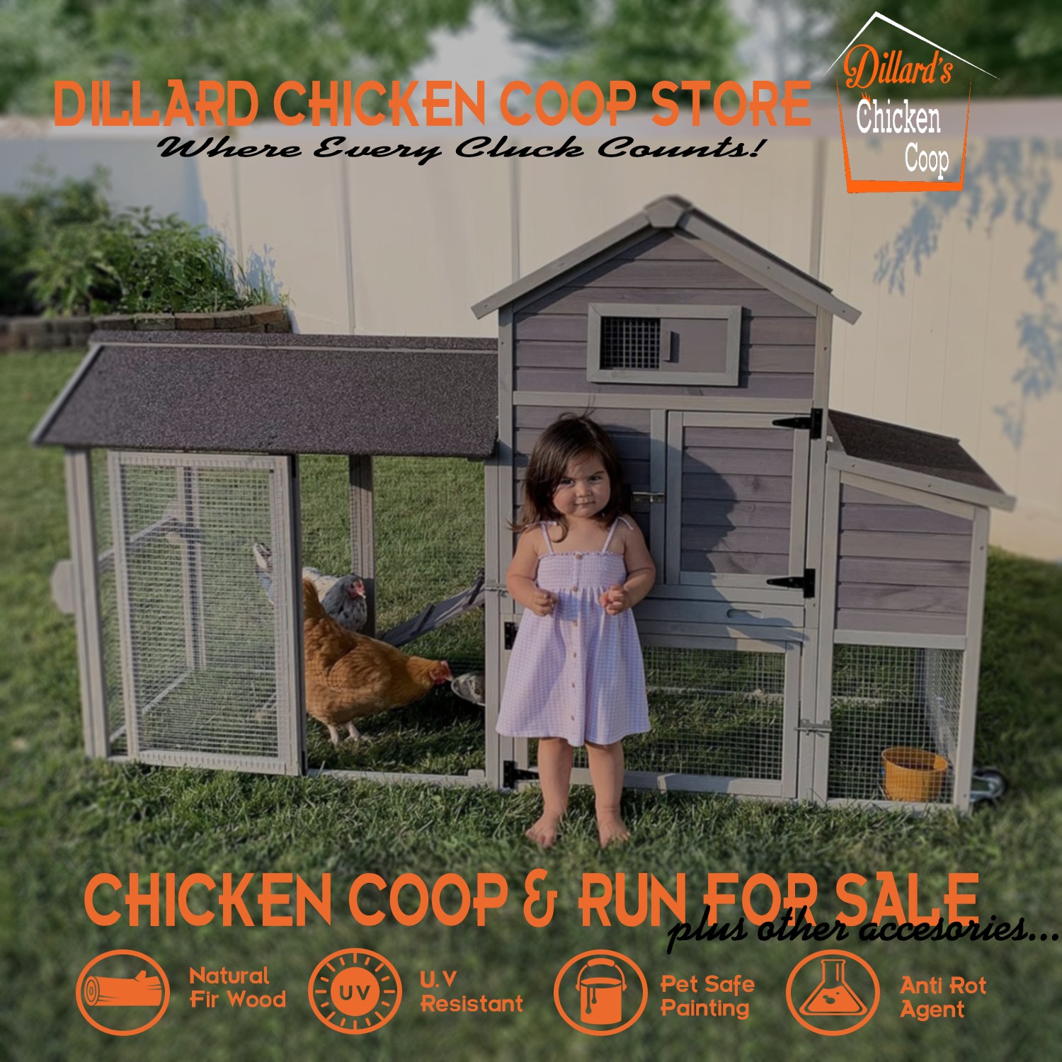 Dillard Chicken Coop Store