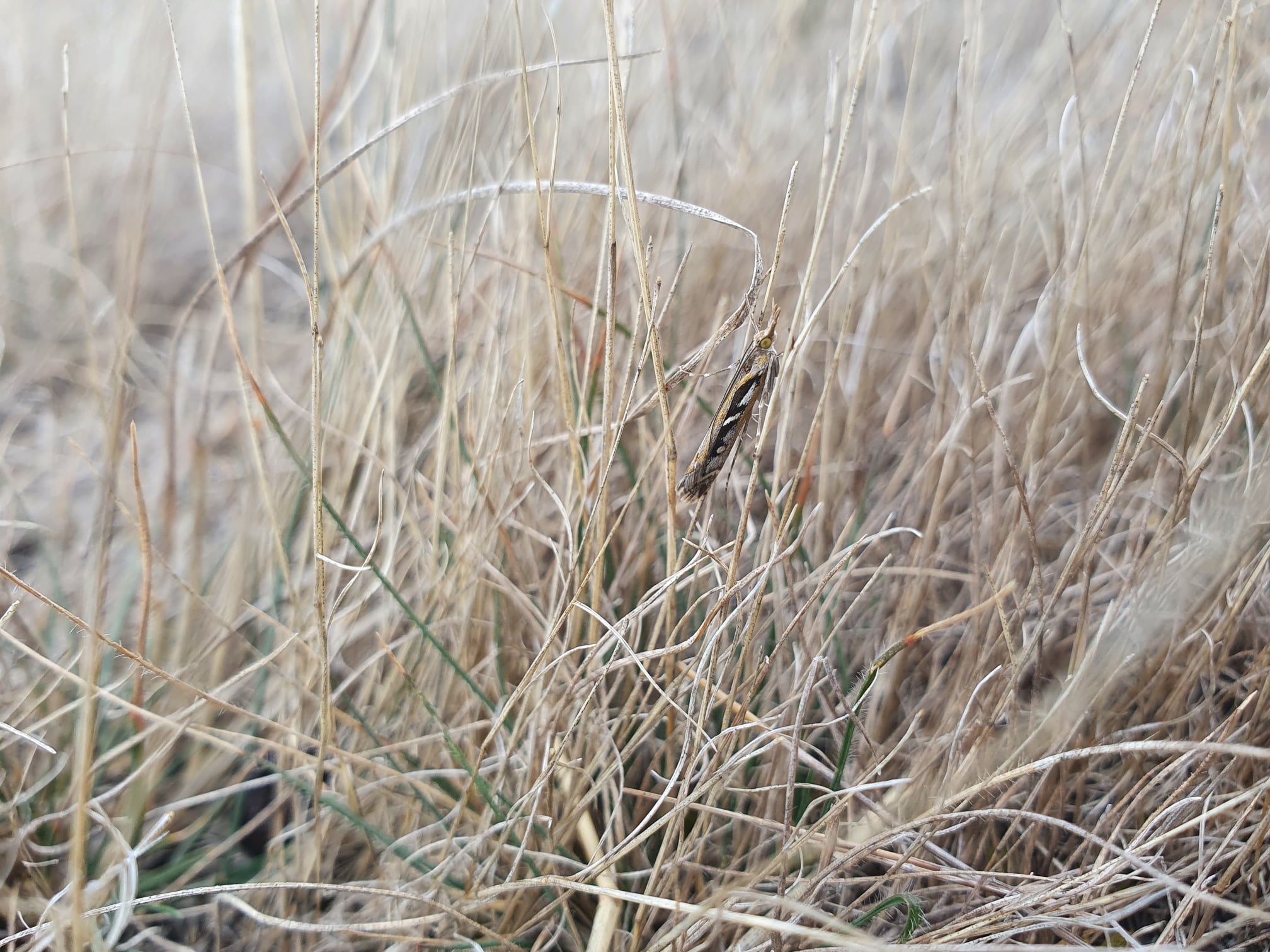 Today lets talk... - Department of Conservation - Canterbury