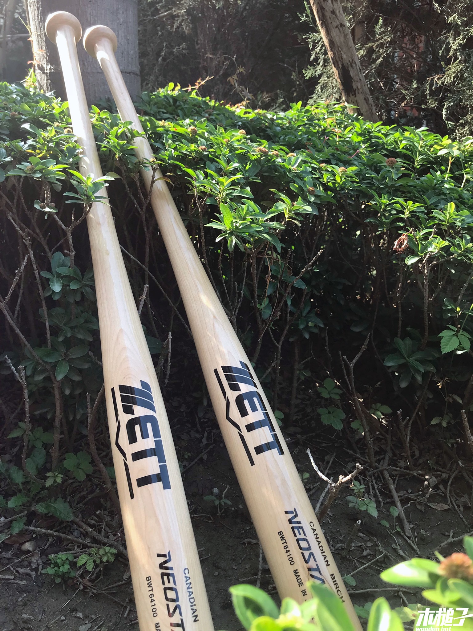木槌子 Wooden Bat - 【木槌子】星期六的壘球棒更新 前幾天最多球友問的就是這款ZETT 壘球棒。...