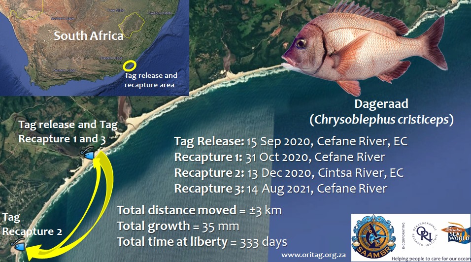 ORI TAG - On the 14th Aug 2021 we had our 117th dageraad...