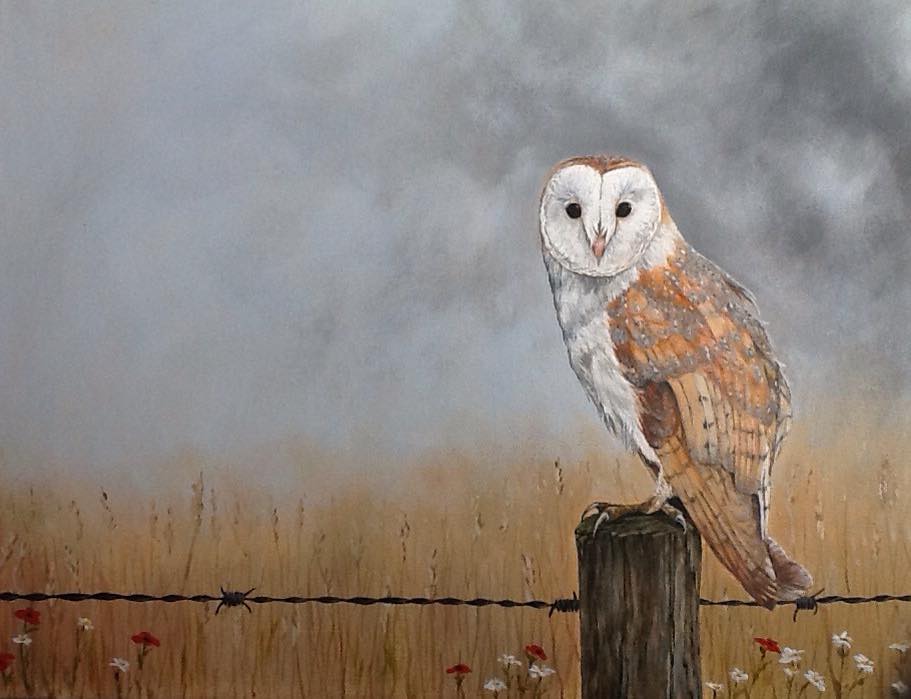 Kim Prior's Art and Portraits