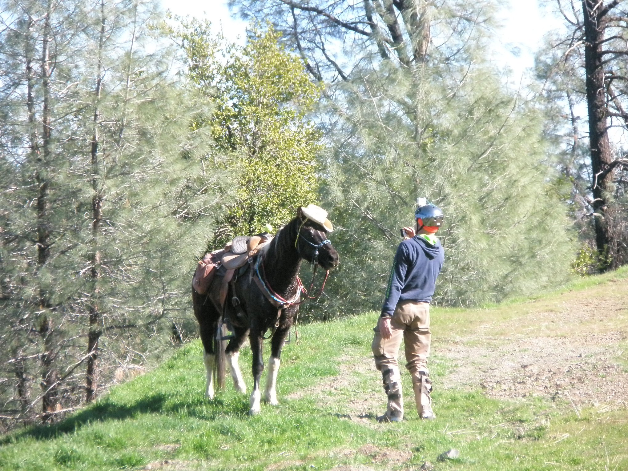 Equisance, Inc at Moon Valley Ranch | Watsonville CA