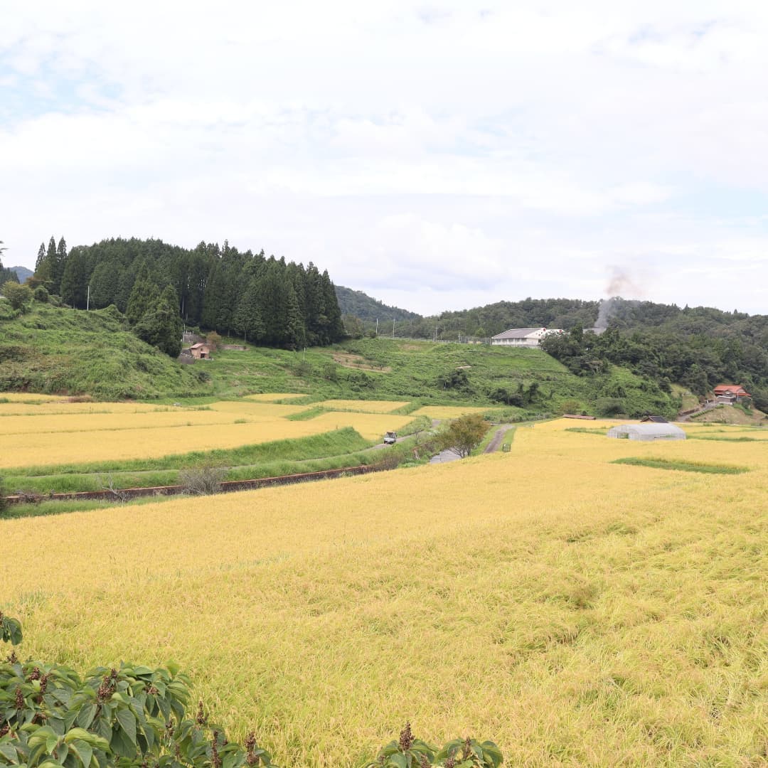 和田地区まちづくり推進委員会 Home Facebook