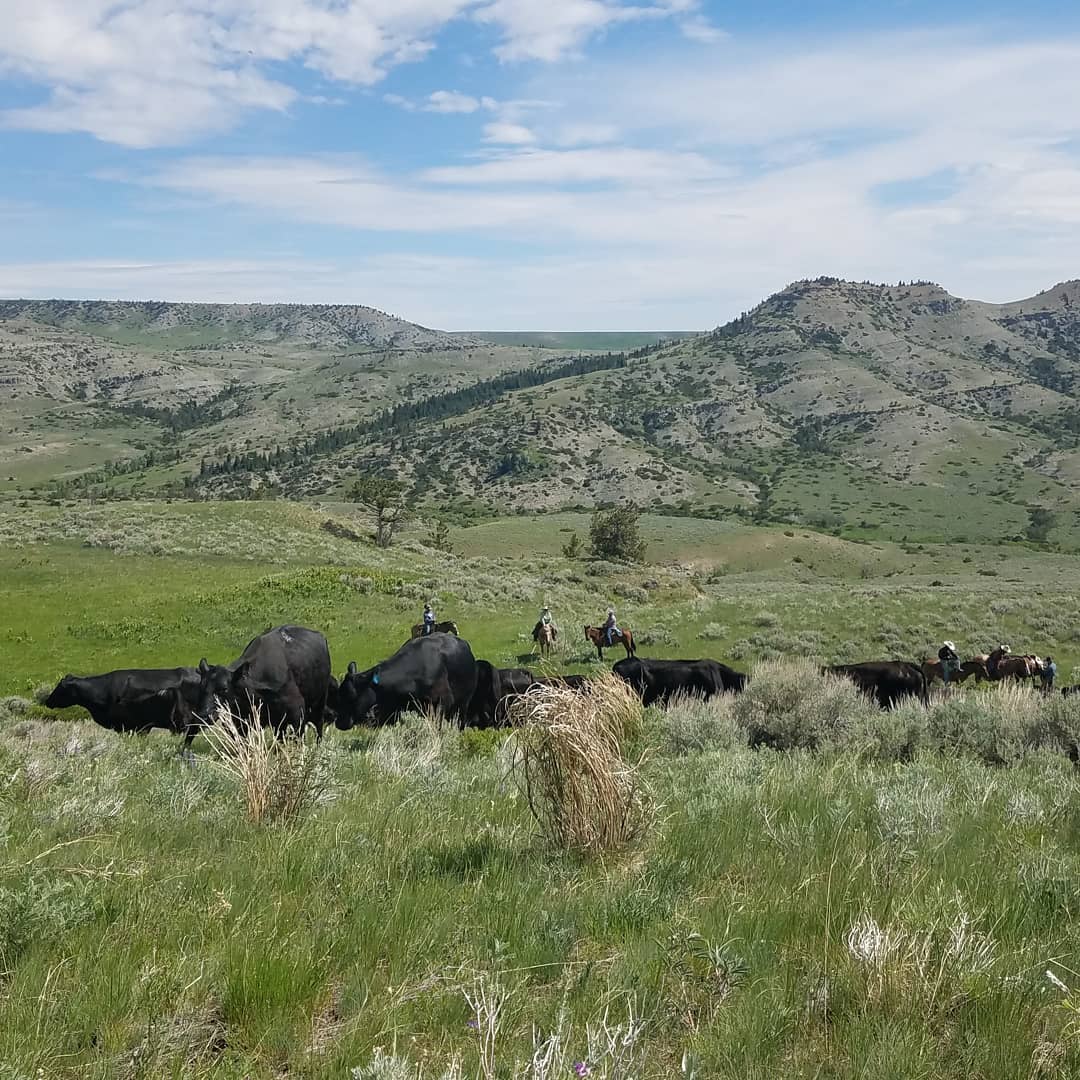 Grosfield Ranch