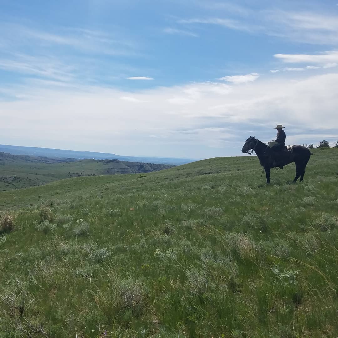 Grosfield Ranch