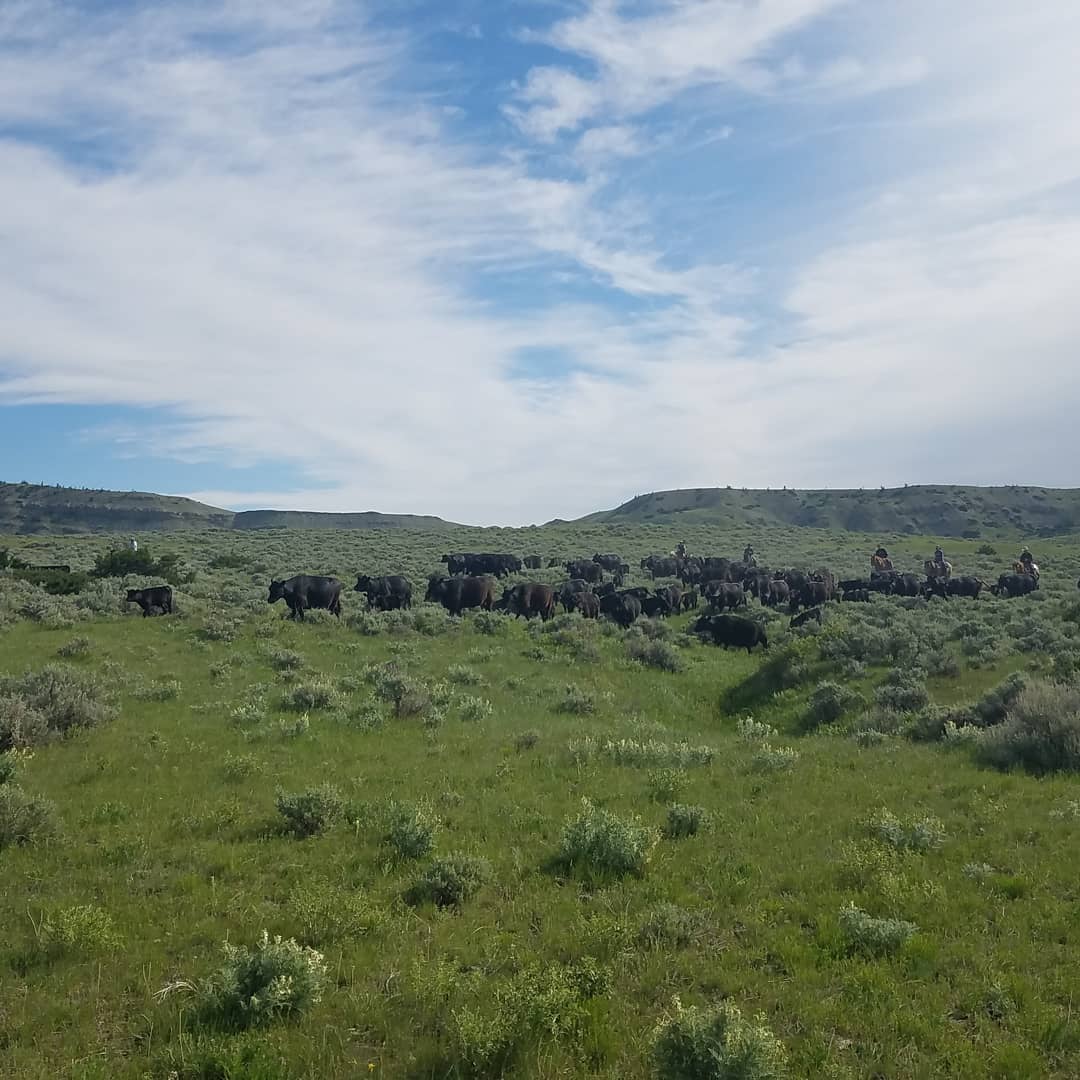 Grosfield Ranch