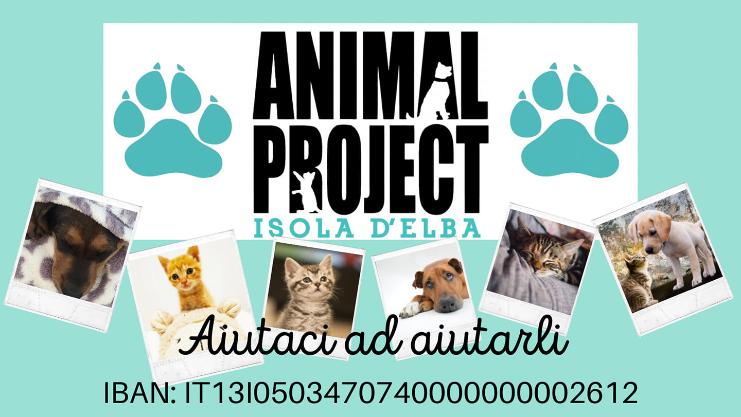 Animal Project Isola D'Elba | Facebook