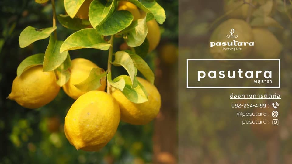 Can we grow Lemon🍋? ปลูกเลมอน🍋กันดีกว่า... - Pasutara พสุธารา | Facebook