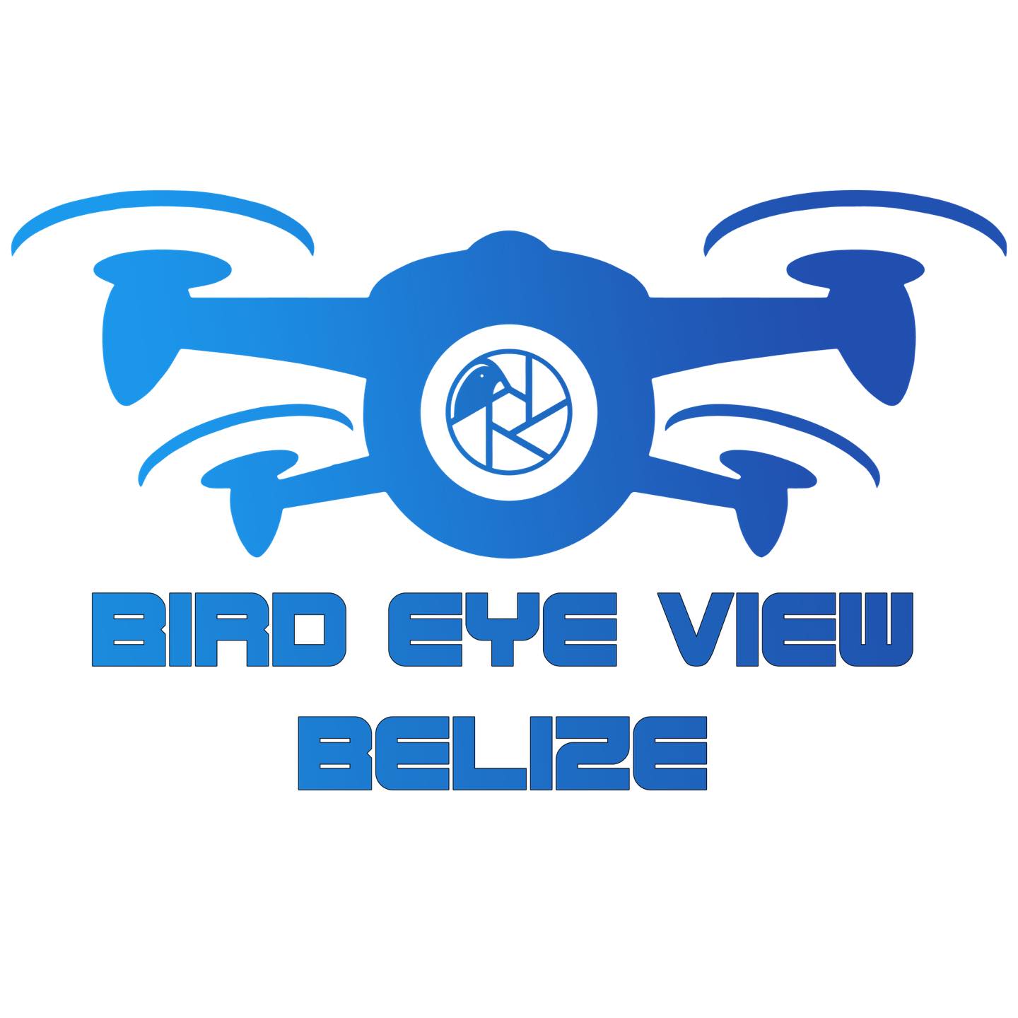 Illa Graphics - New Logo Design for Bird Eye View Belize.
