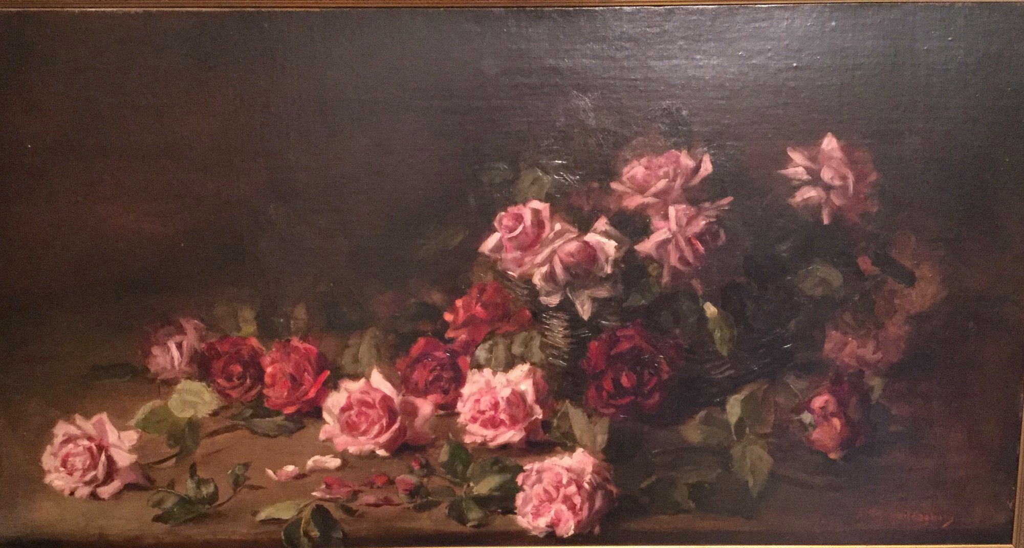 Heritage - Rosa 'Carabella' - Bred by Frank L. Riethmuller (1884-1965 ...