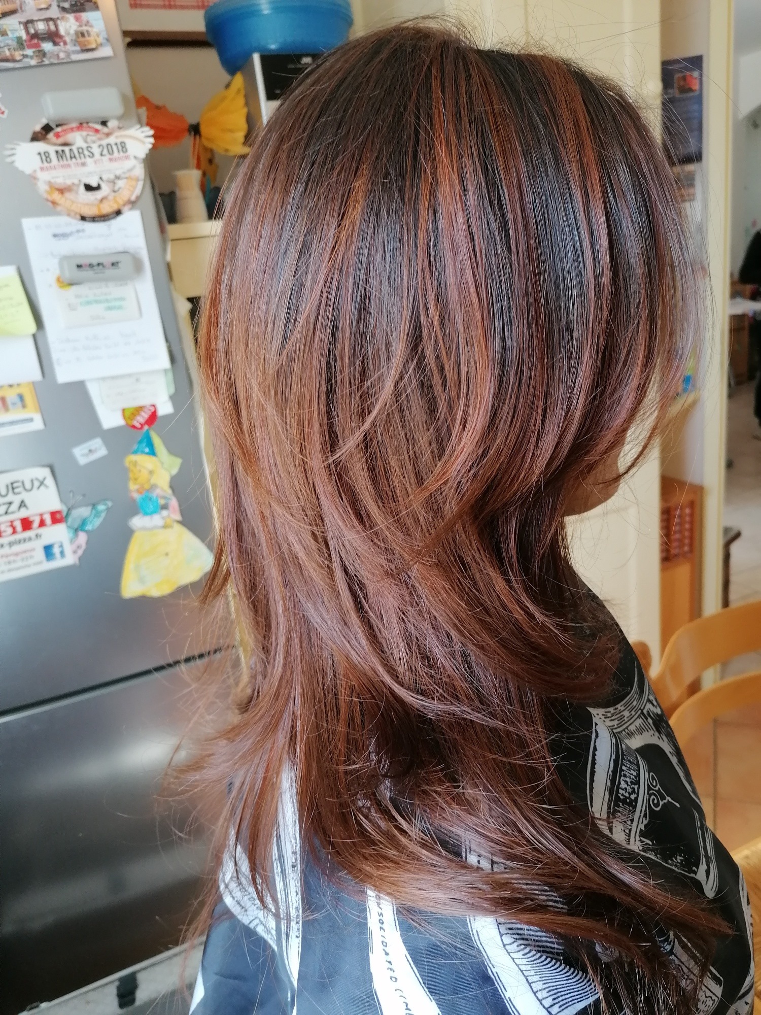 Mèches Cuivrées Sur Cheveux Bruns