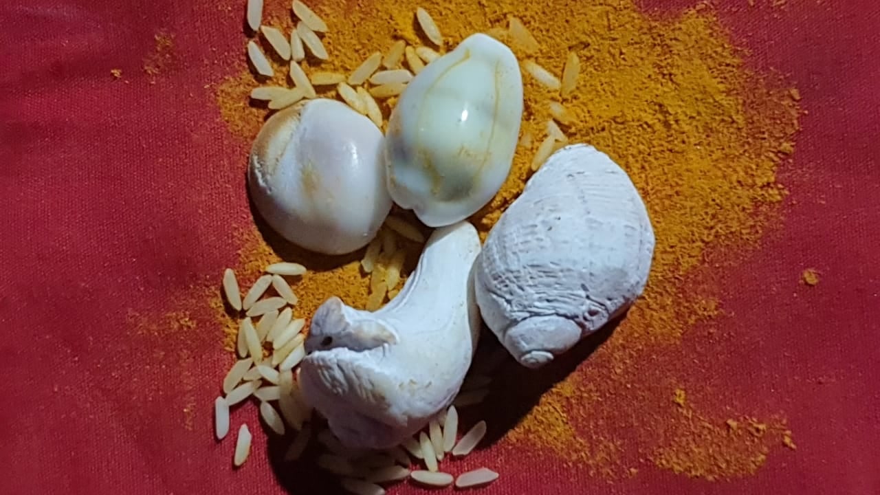 Gems Rudrakshas Gomatichakra Shank Saligram