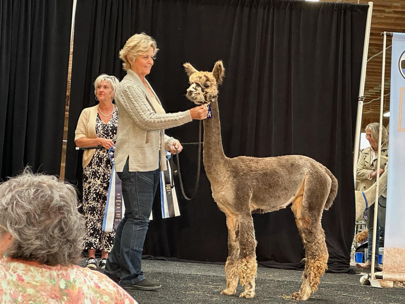 Diamond Valley Alpacas | Redmond OR