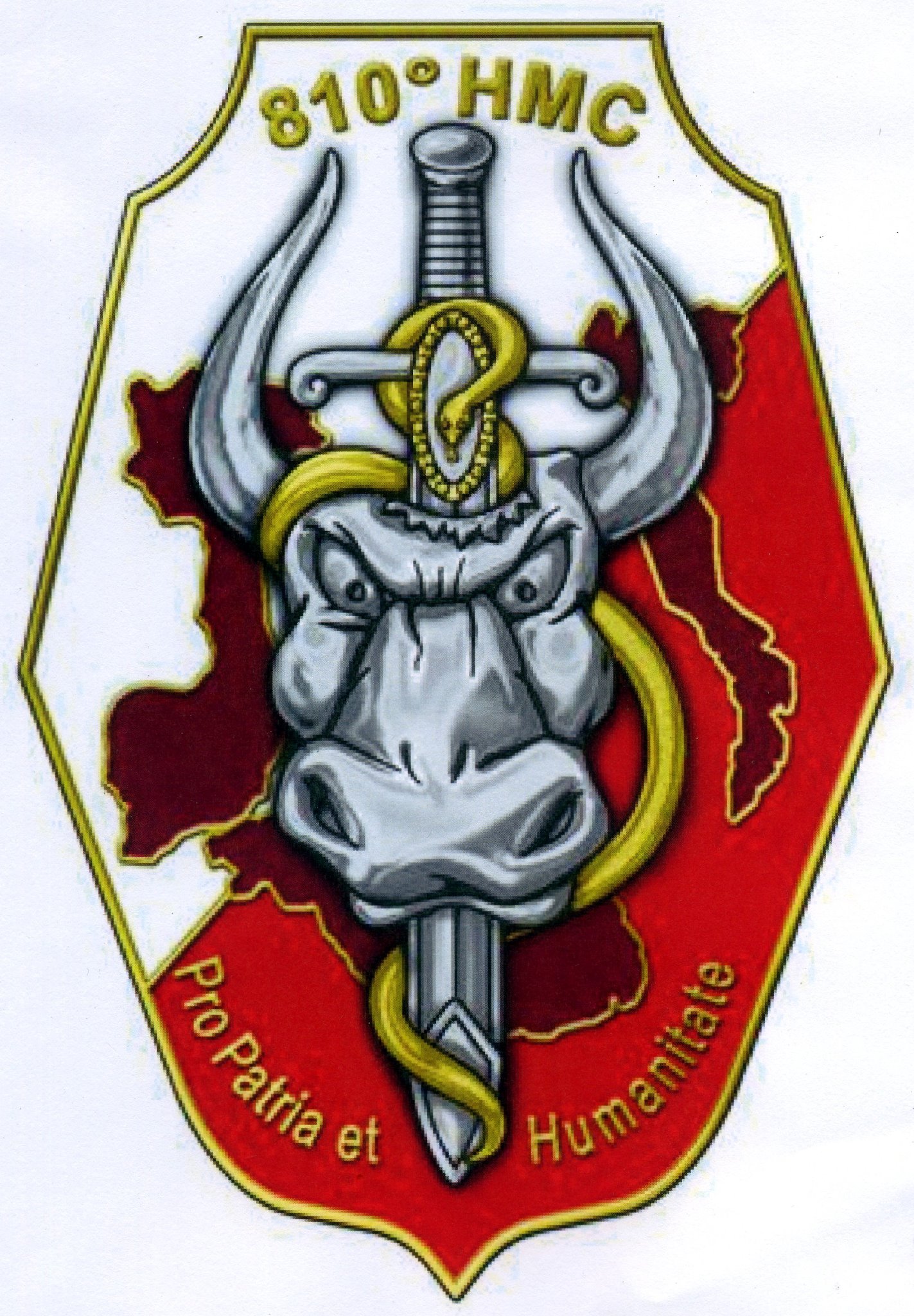 810 - L'insigne du 810ème HMC du régiment médical de la Valbonne. La ...