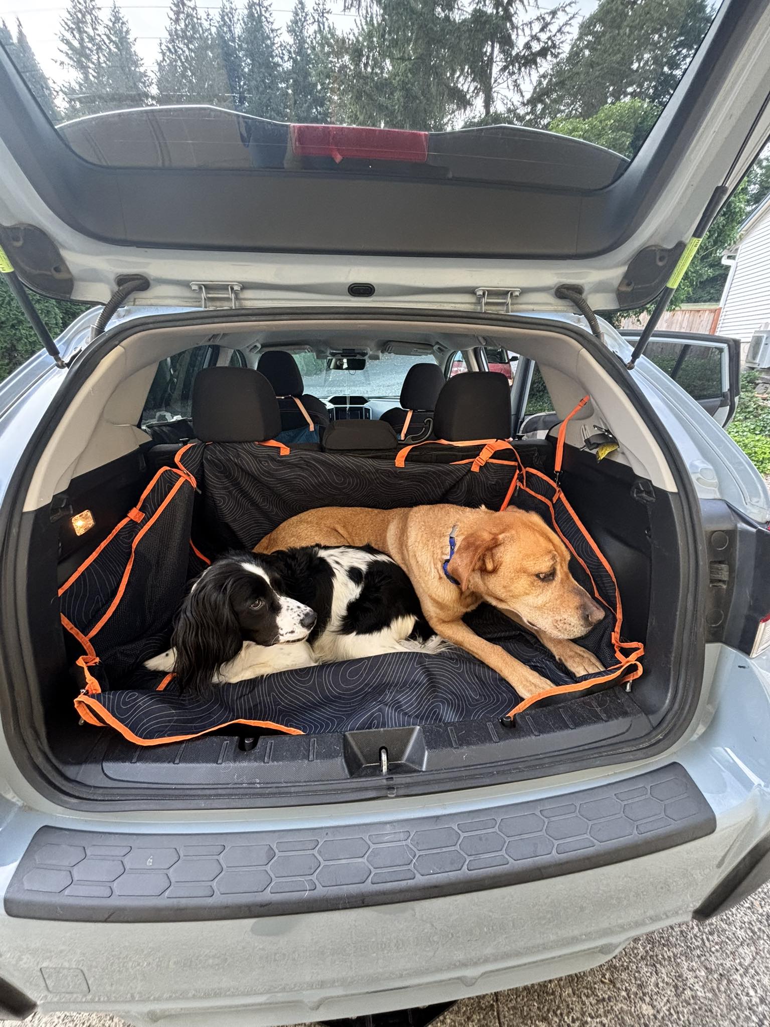 Dog kennel setups for Subaru Crosstrek?