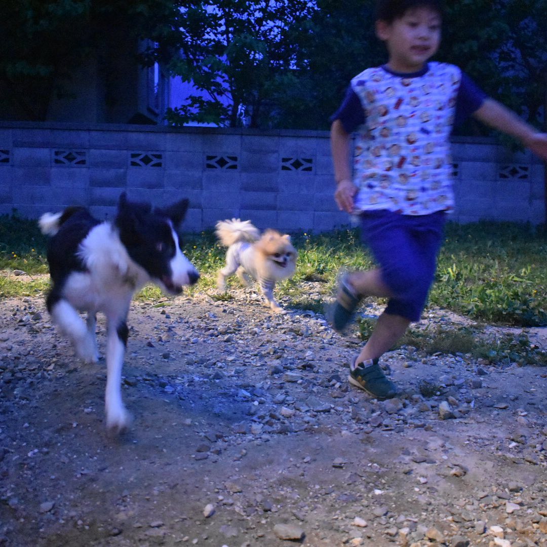 犬の先生 Facebook