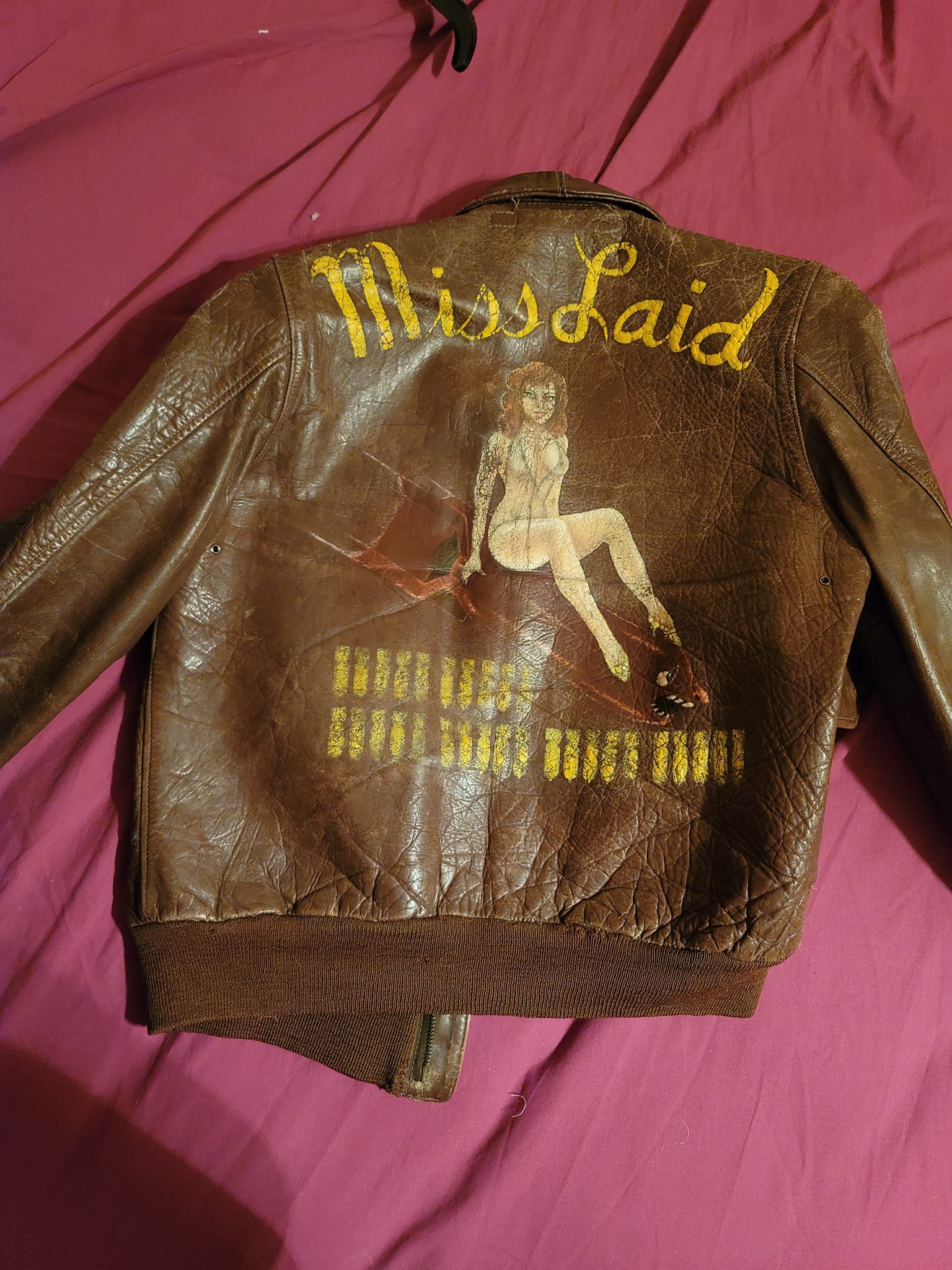 WW2 USAAF painted fight jacket collector