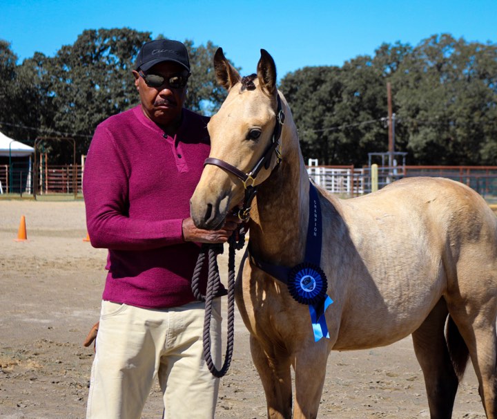 Geter Ranch - Lana G has been named Reserve Champion in... | Facebook