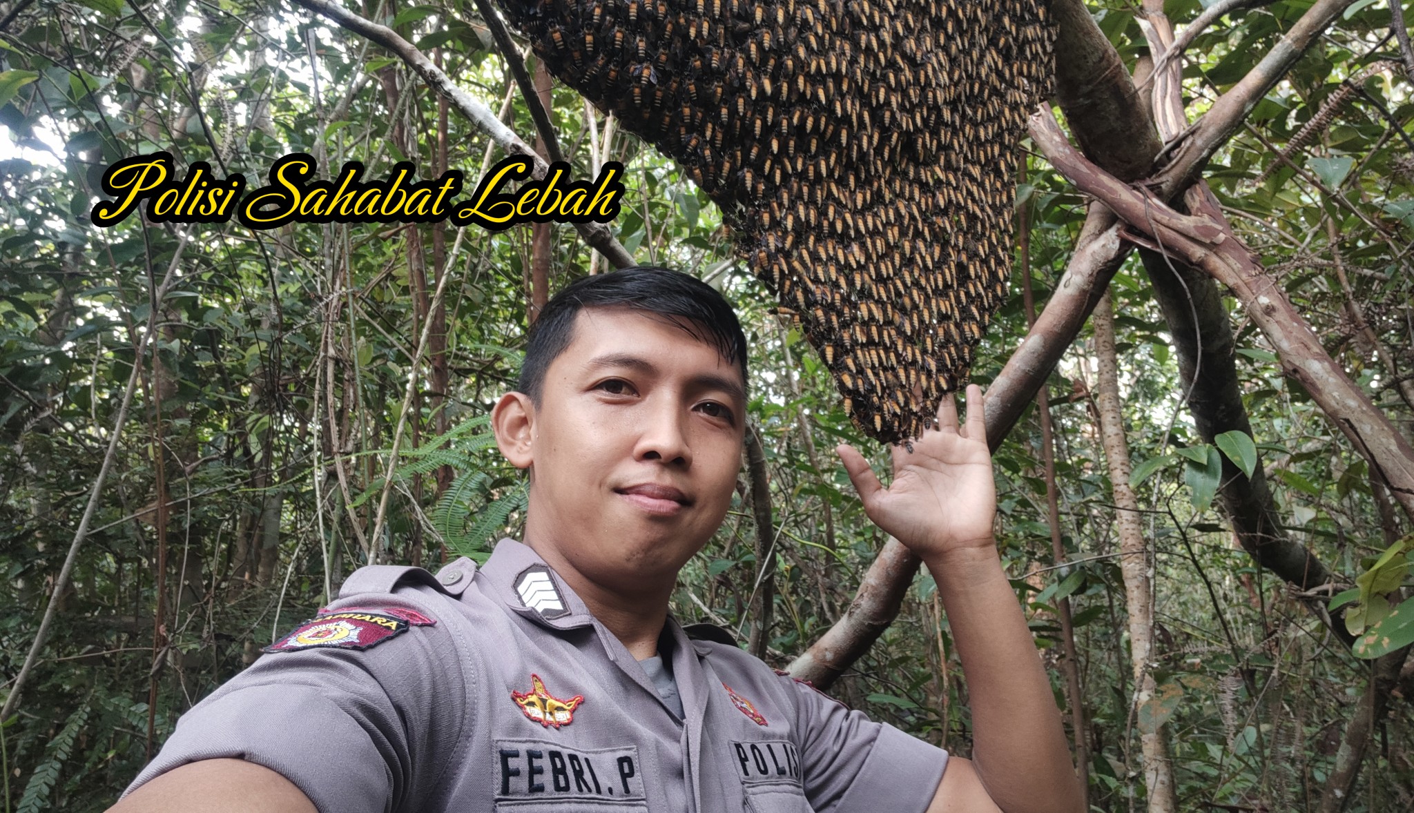 Febri ZLd BeeKeeper
