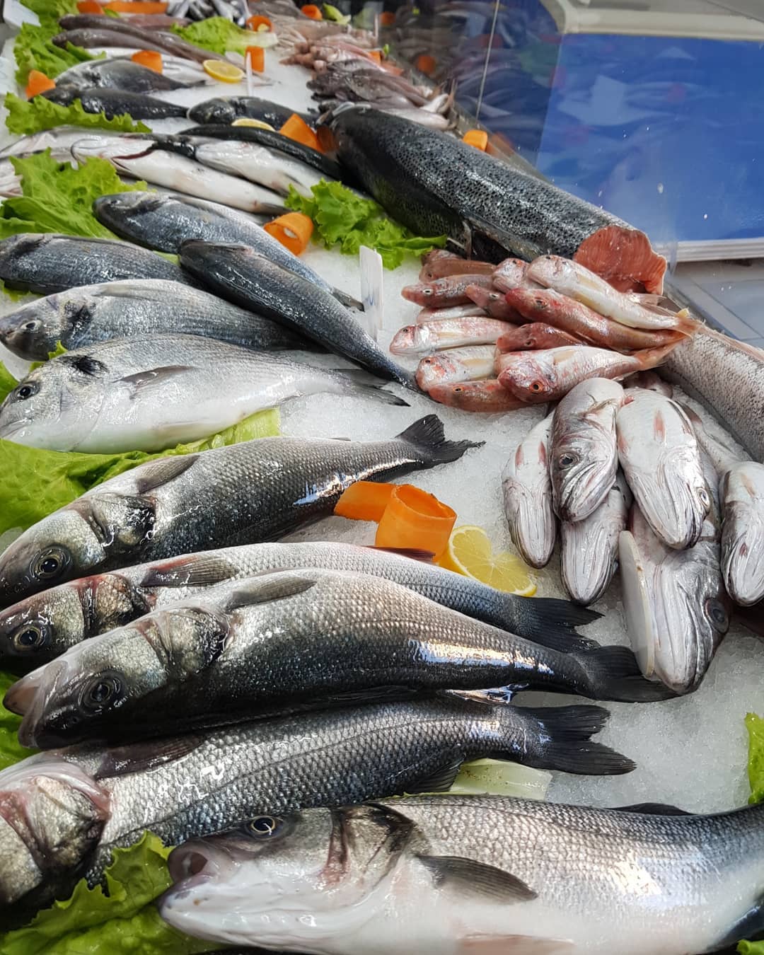 Peshk i fresket | Durrës