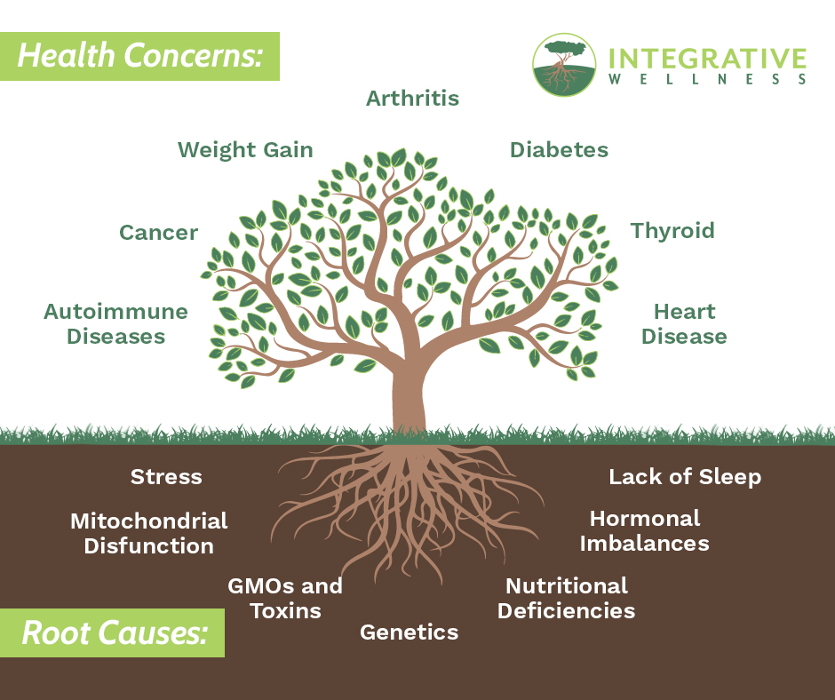 If you're ready to get to the ROOT... - Integrative Wellness