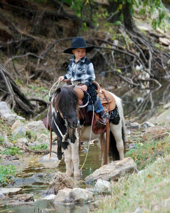 Lone Star Ranch & Rodeo | Austin TX