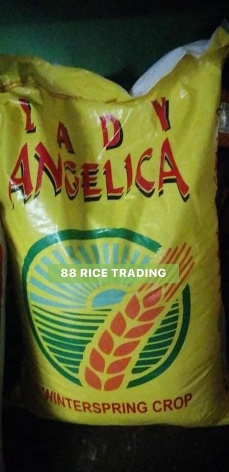 88 Rice Trading