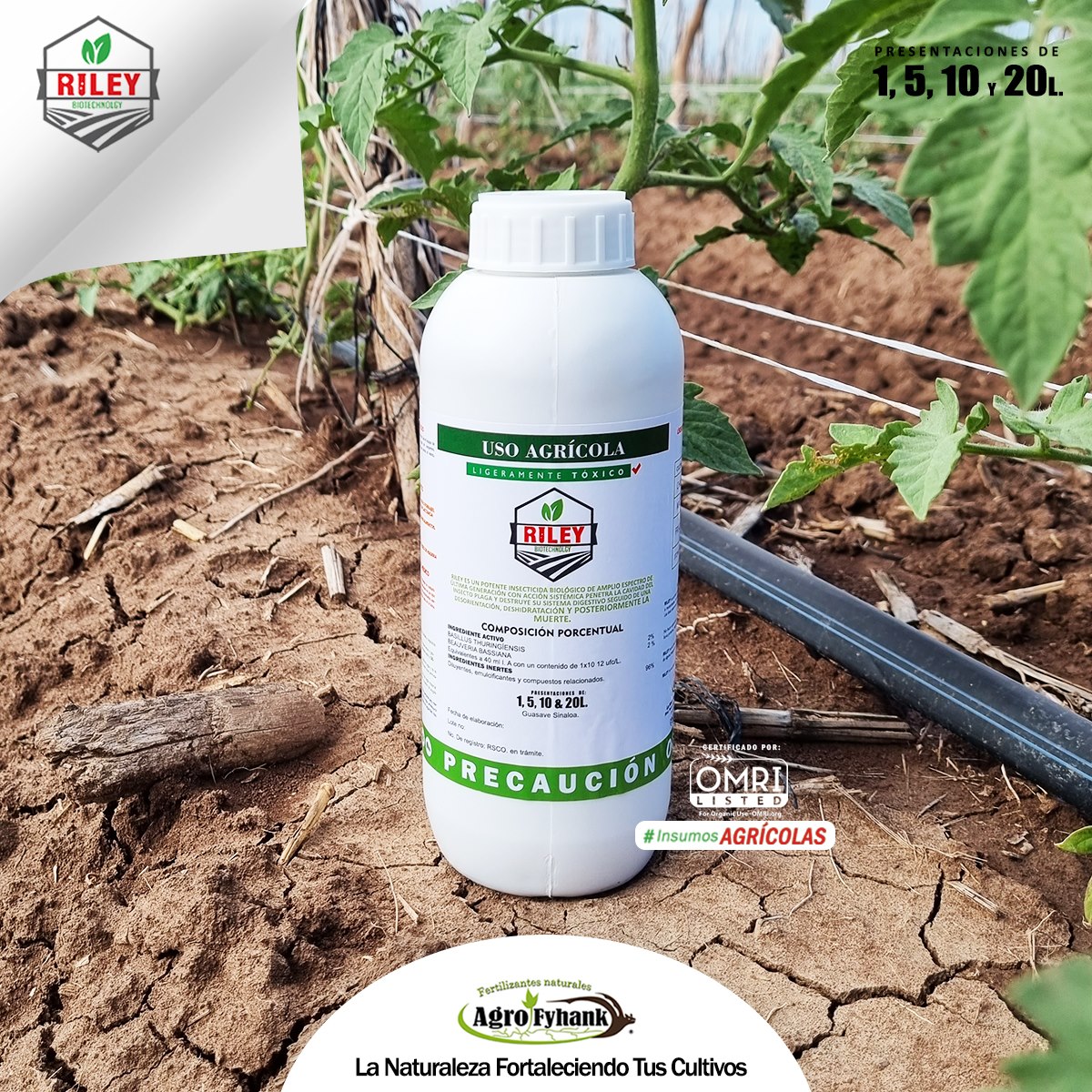 Agro Fyhank S.A de C.V - #Riley es un potente insecticida biológico de ...