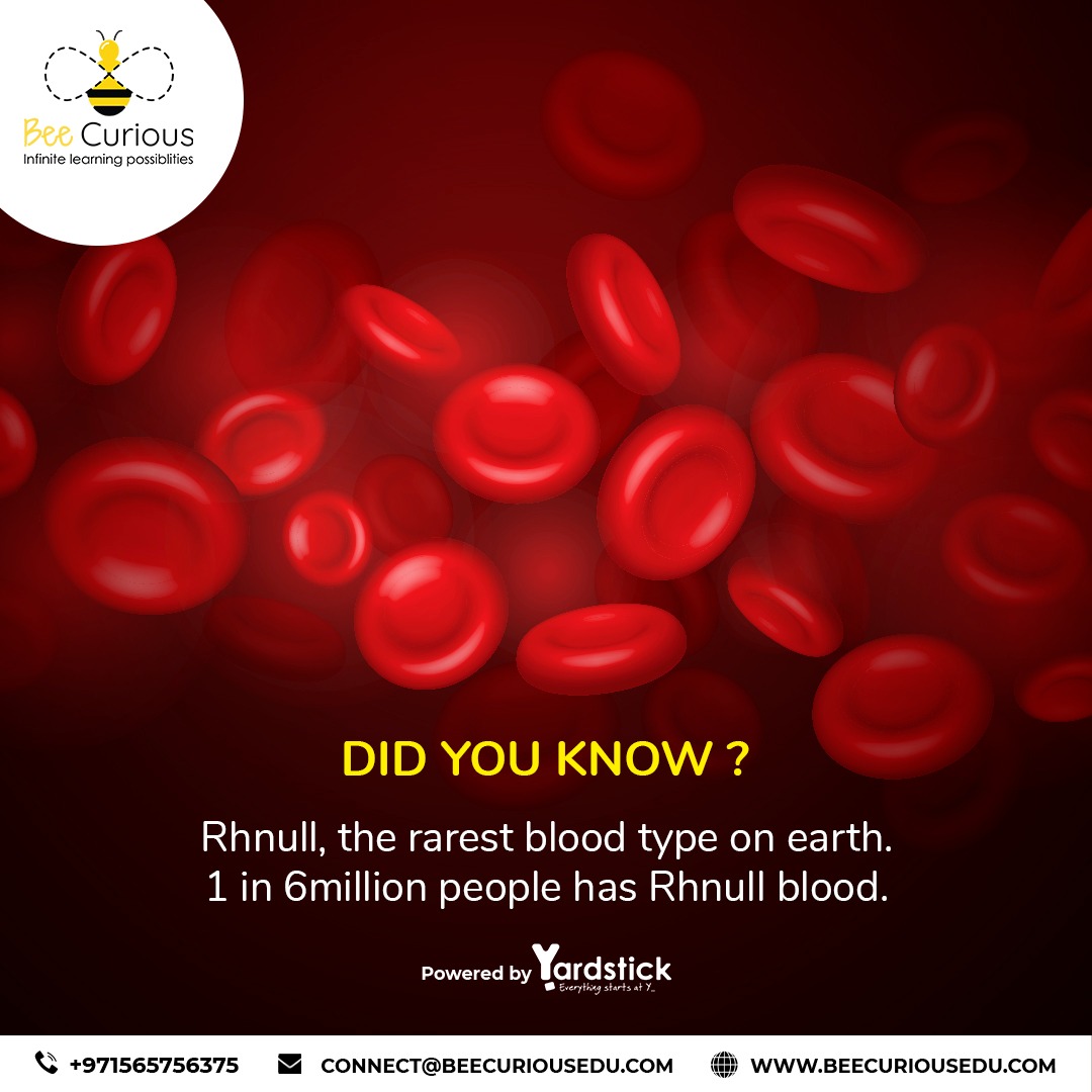 BeeCurious Edu - The rarest blood type in existence is... | Facebook