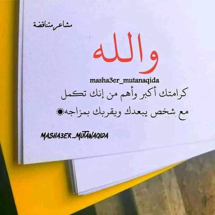 يعنى ايه؟ -?What does it mean | Cairo
