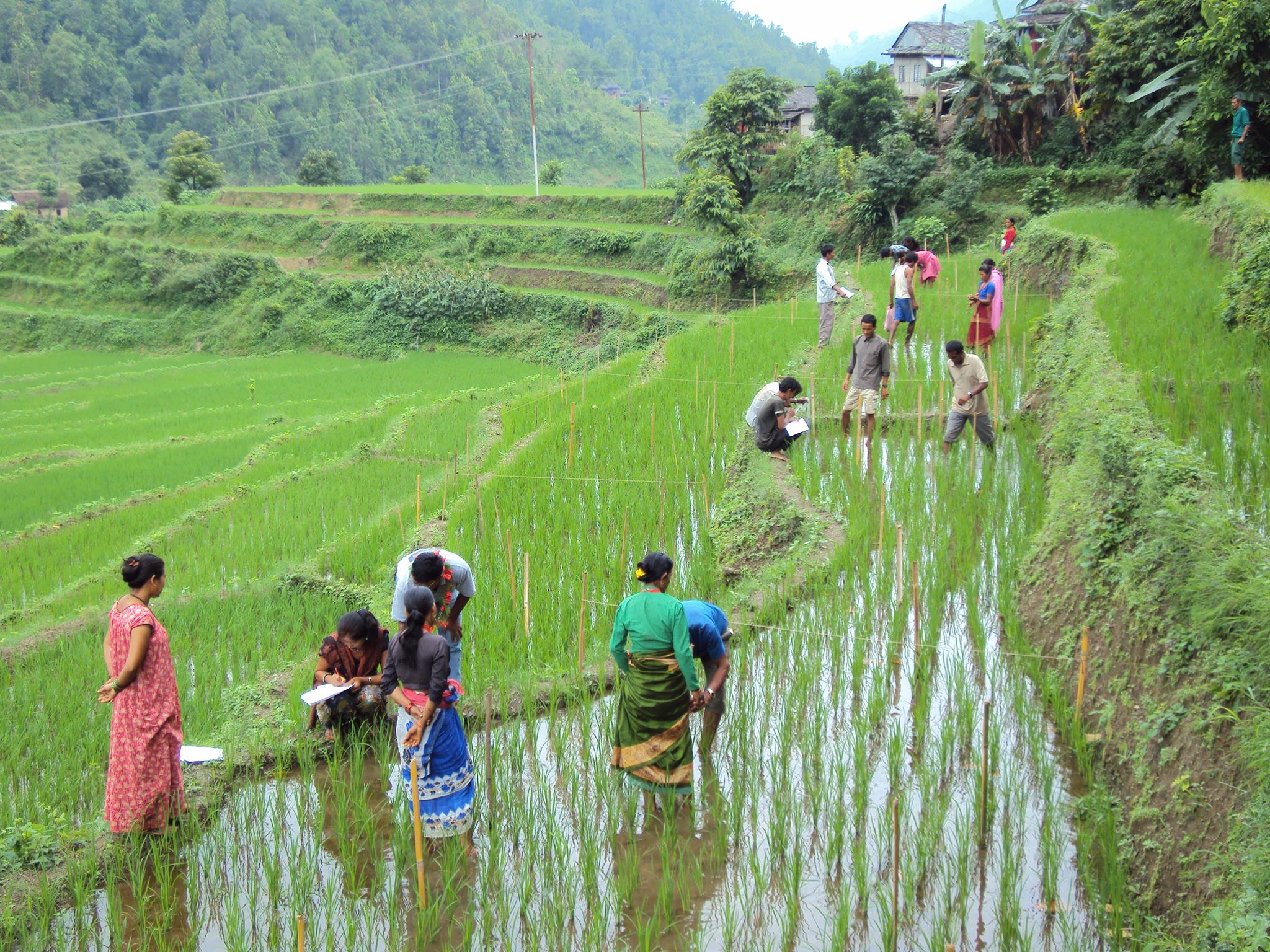Rani Village Farm | Tansen