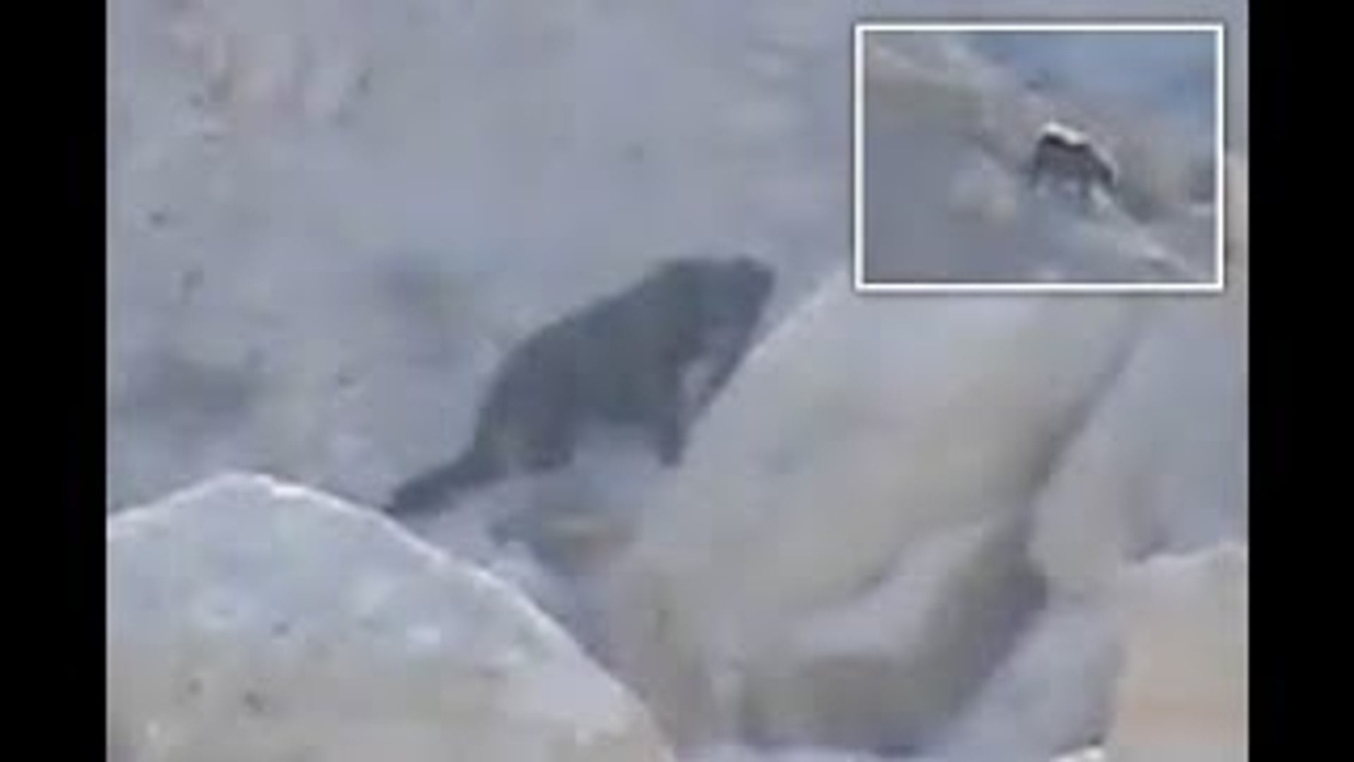 第三行星神秘事件 - Skin-Walker皮行者，又稱獸行者、變形怪或化獸人。... | Facebook
