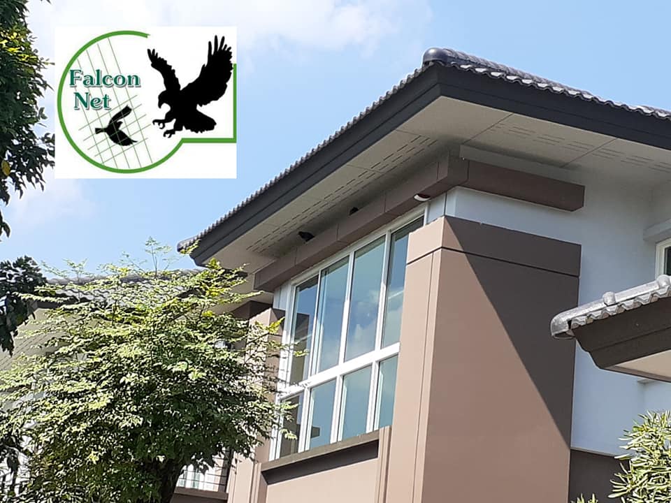 รับติดหนามกันนก Falcon🦅... - ตาข่ายกันนก Falcon Net