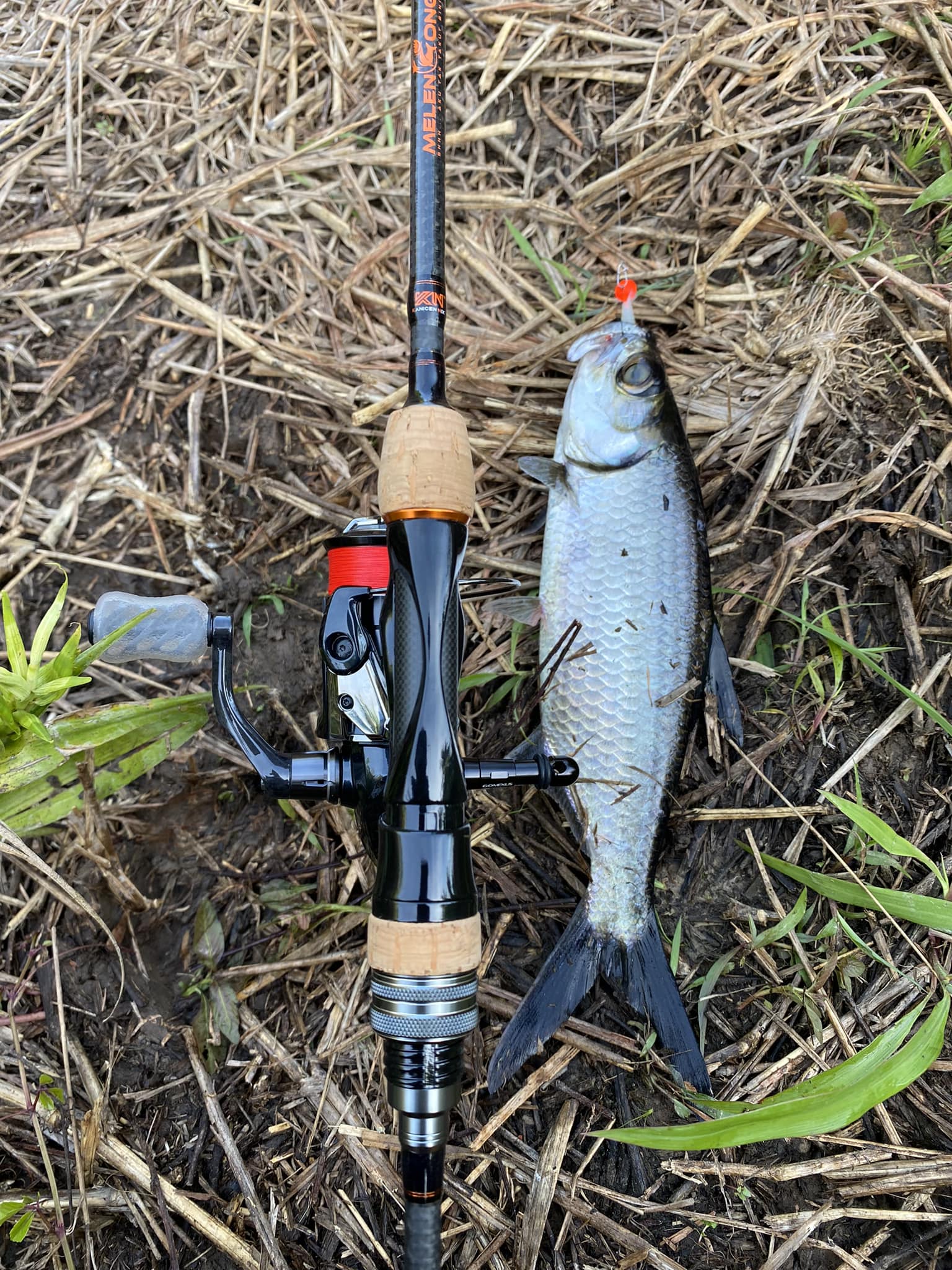alvey fishing reel prices Float 47 | Estuary by Reels Model:DC 804C YEAR:2018 SELF FIT HANDLES (COLLAR