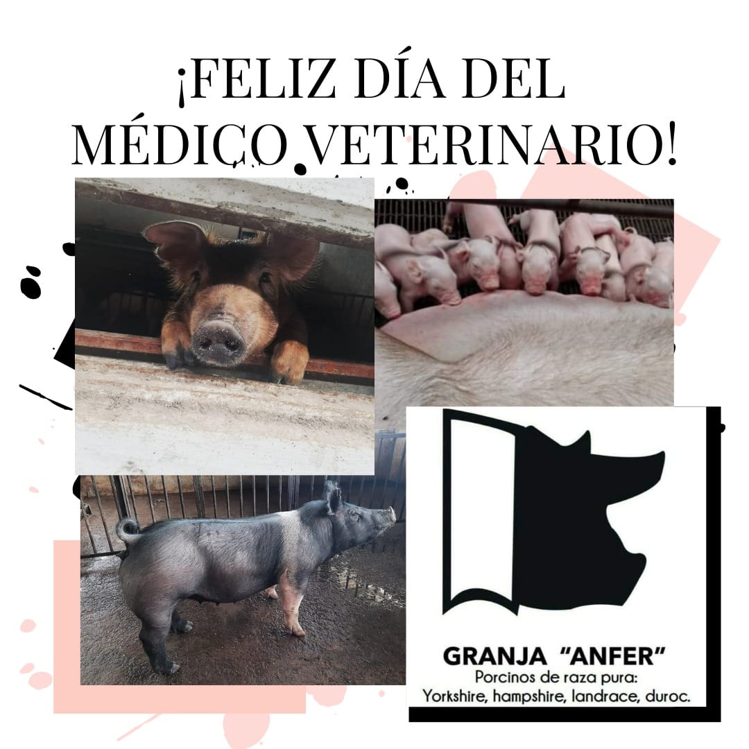 Granja ANFER - ¡Celebramos hoy el día del Médico... | Facebook