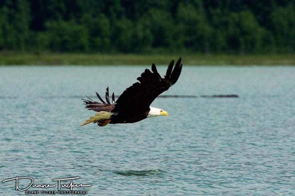 JD Crowe - Trump gets flipped the Bird... | Facebook