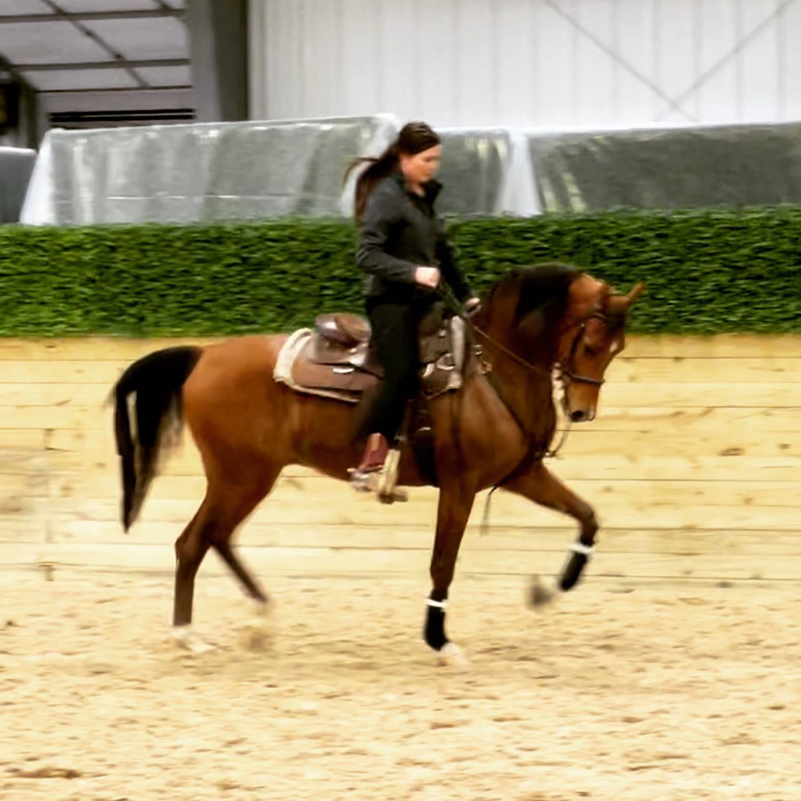 Congratulations Lin Fuller on... - Curtis Performance Horses | Facebook