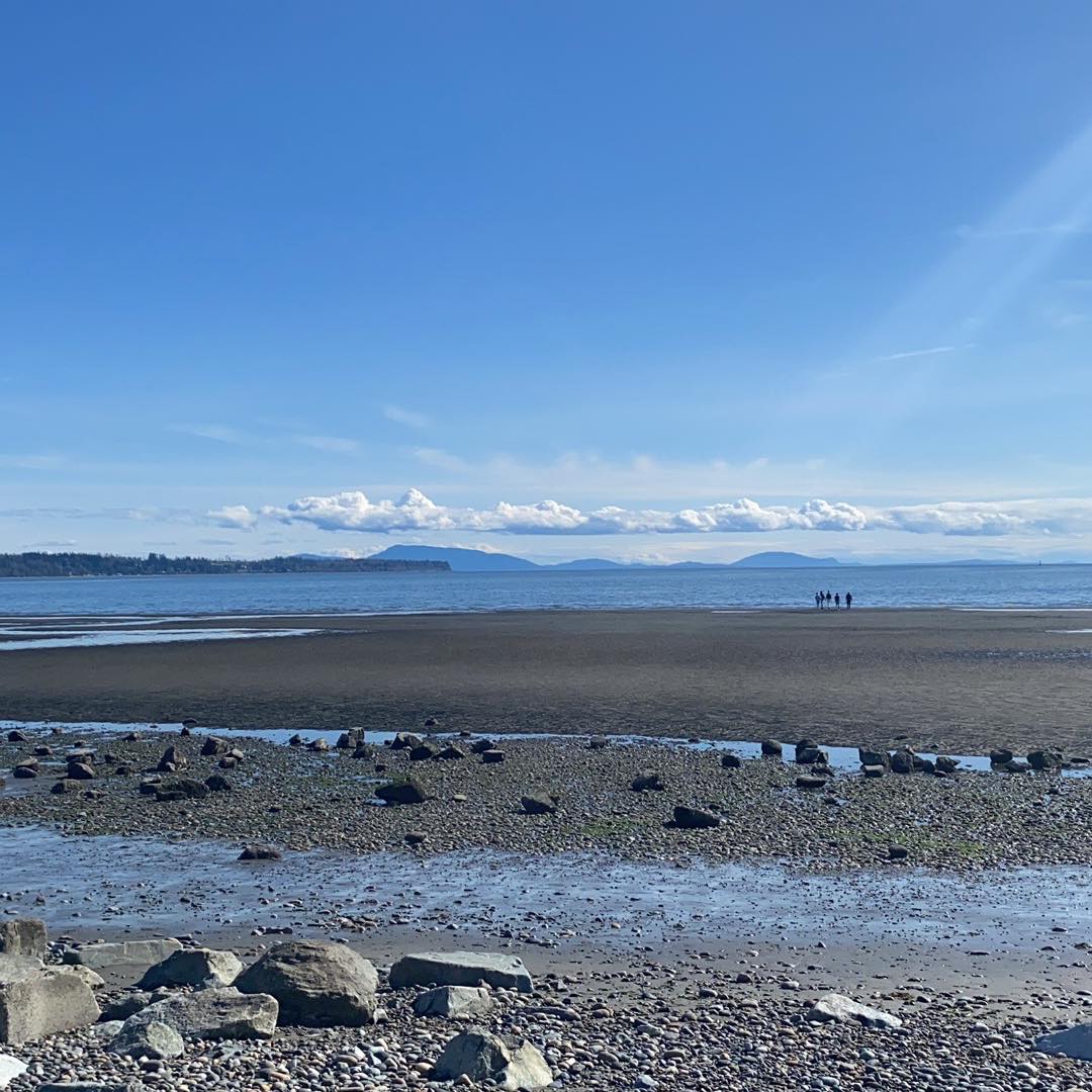 The White Rock/South Surrey Community Group | New Costco is coming to ...