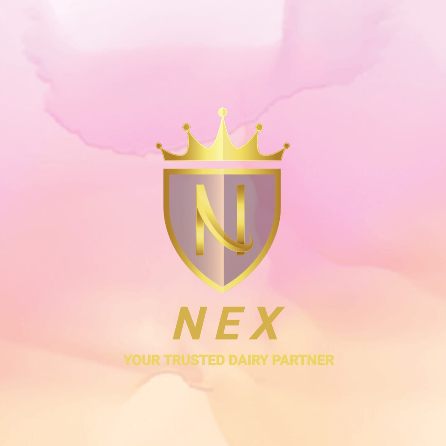 NEX Milk Powder - ন্যাক্স মিল্ক পাওডার