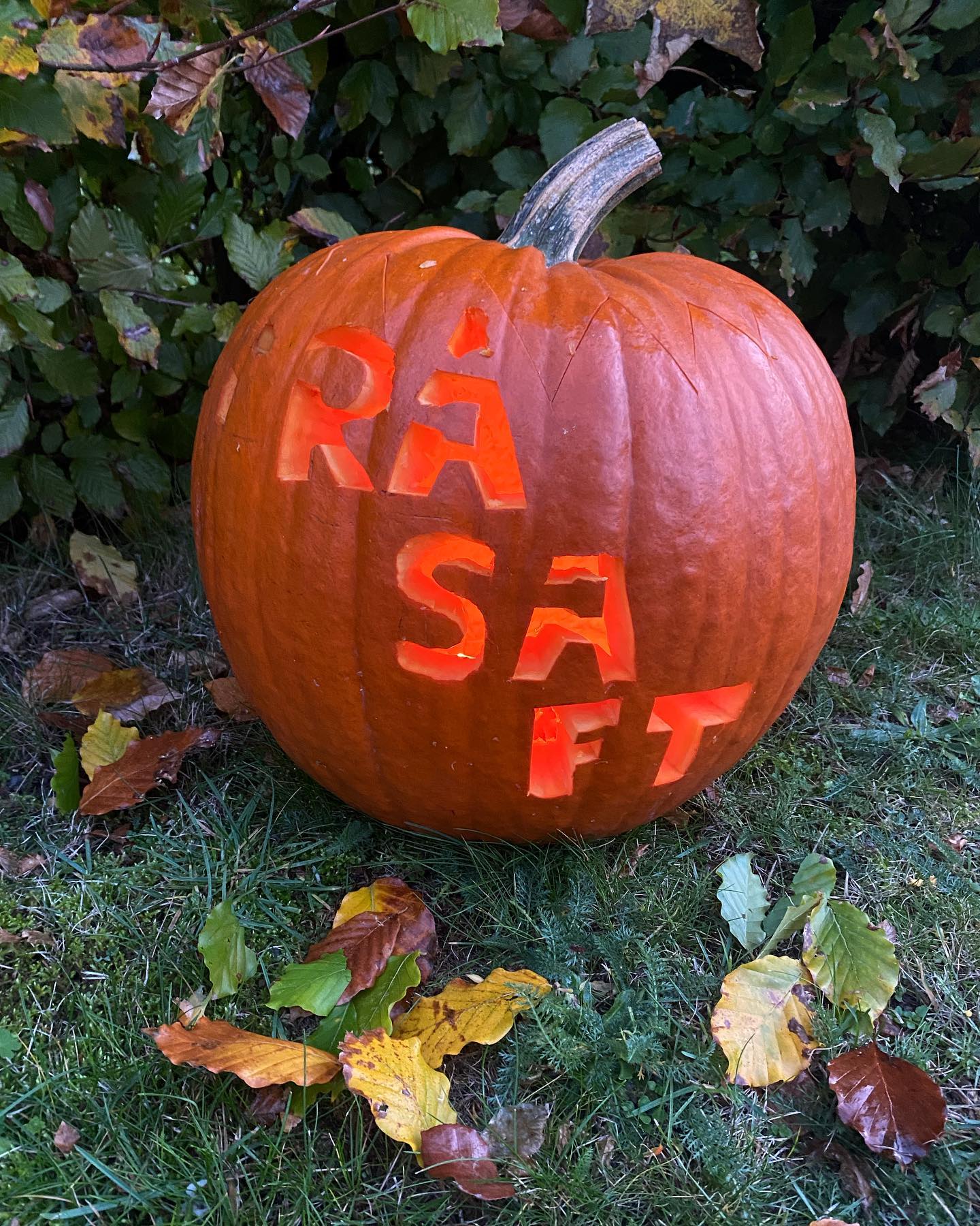Loviseberg Råsaft DK