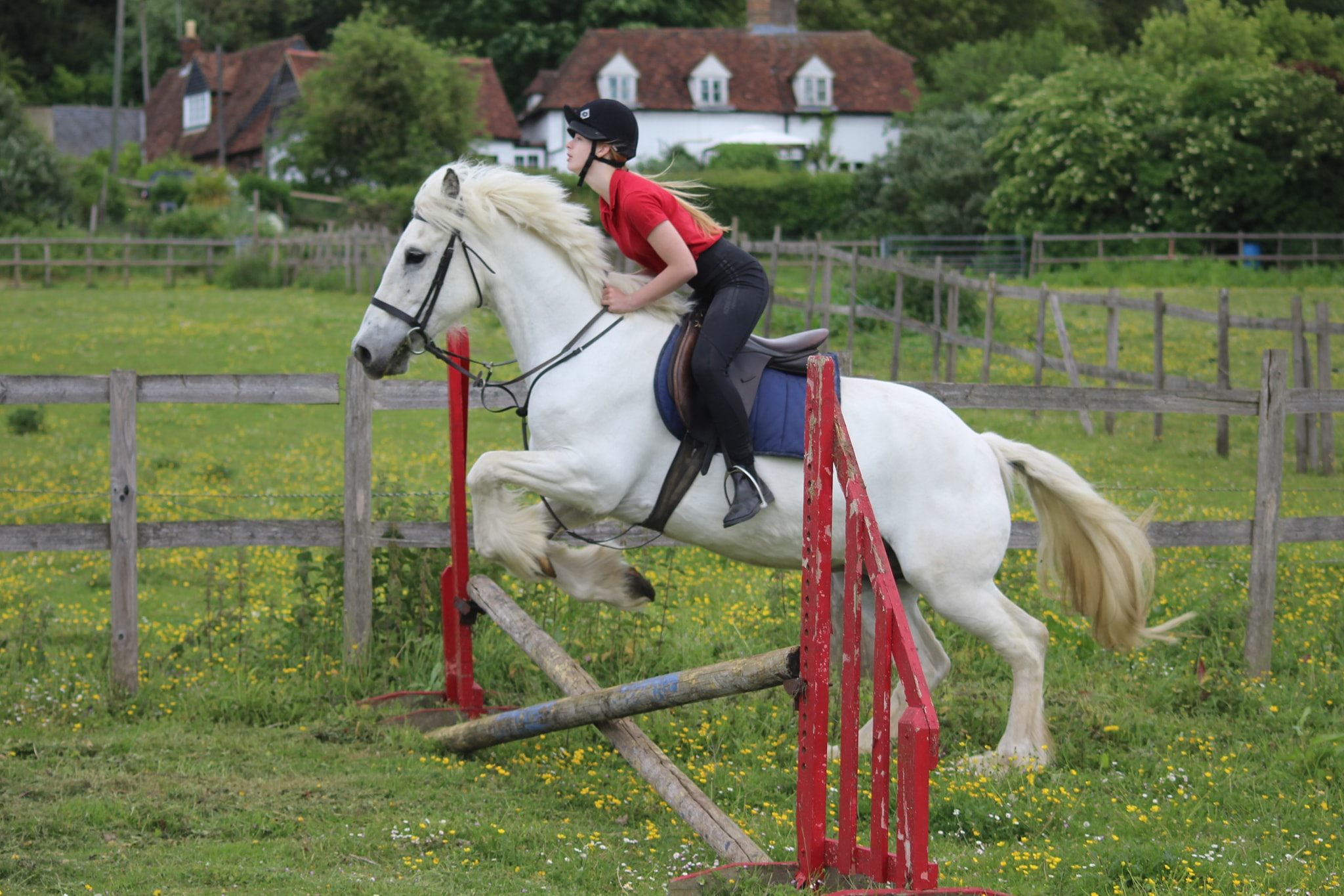 Boxley Riding School added a new photo. - Boxley Riding School