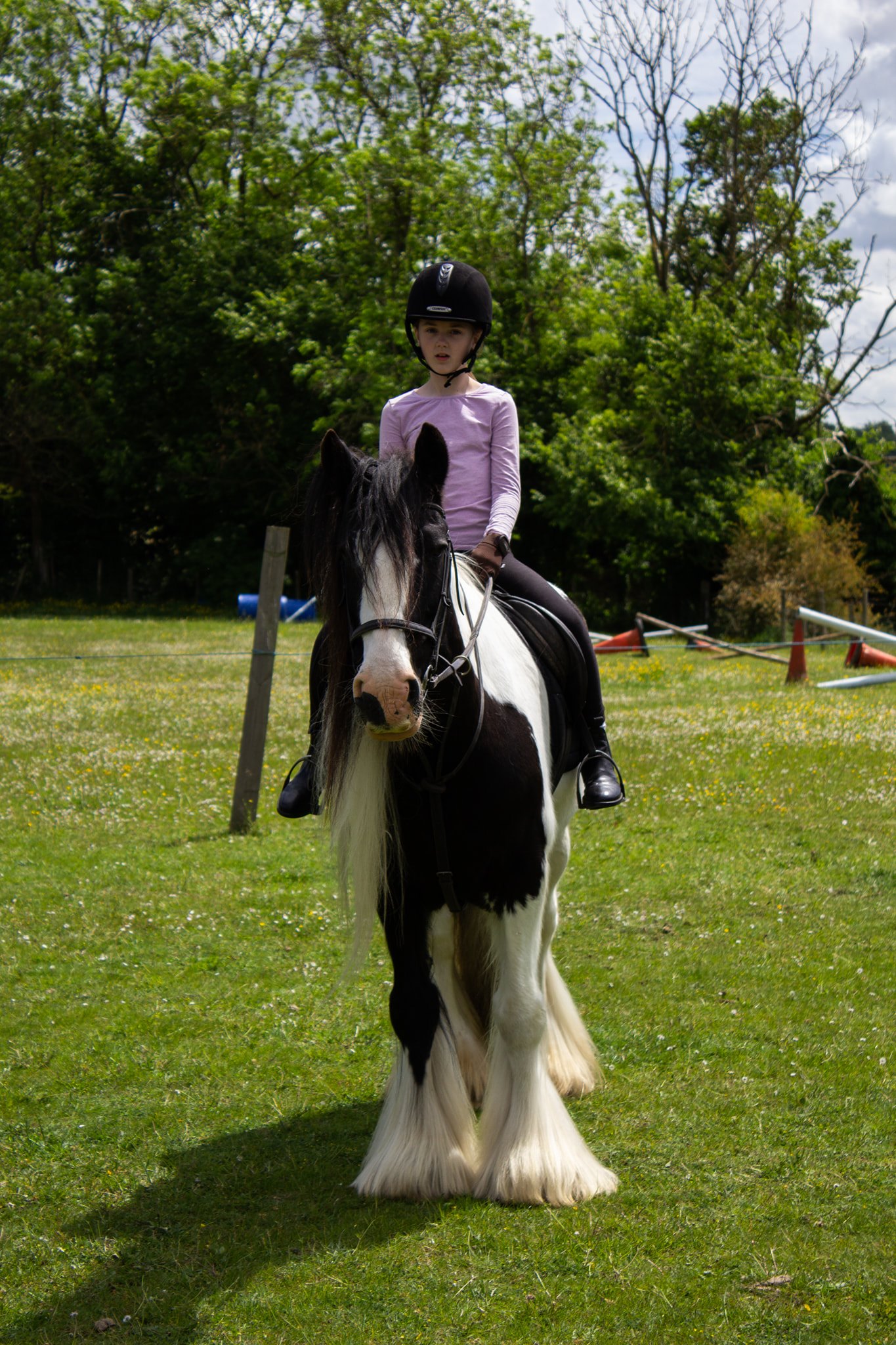 Boxley Riding School | Maidstone