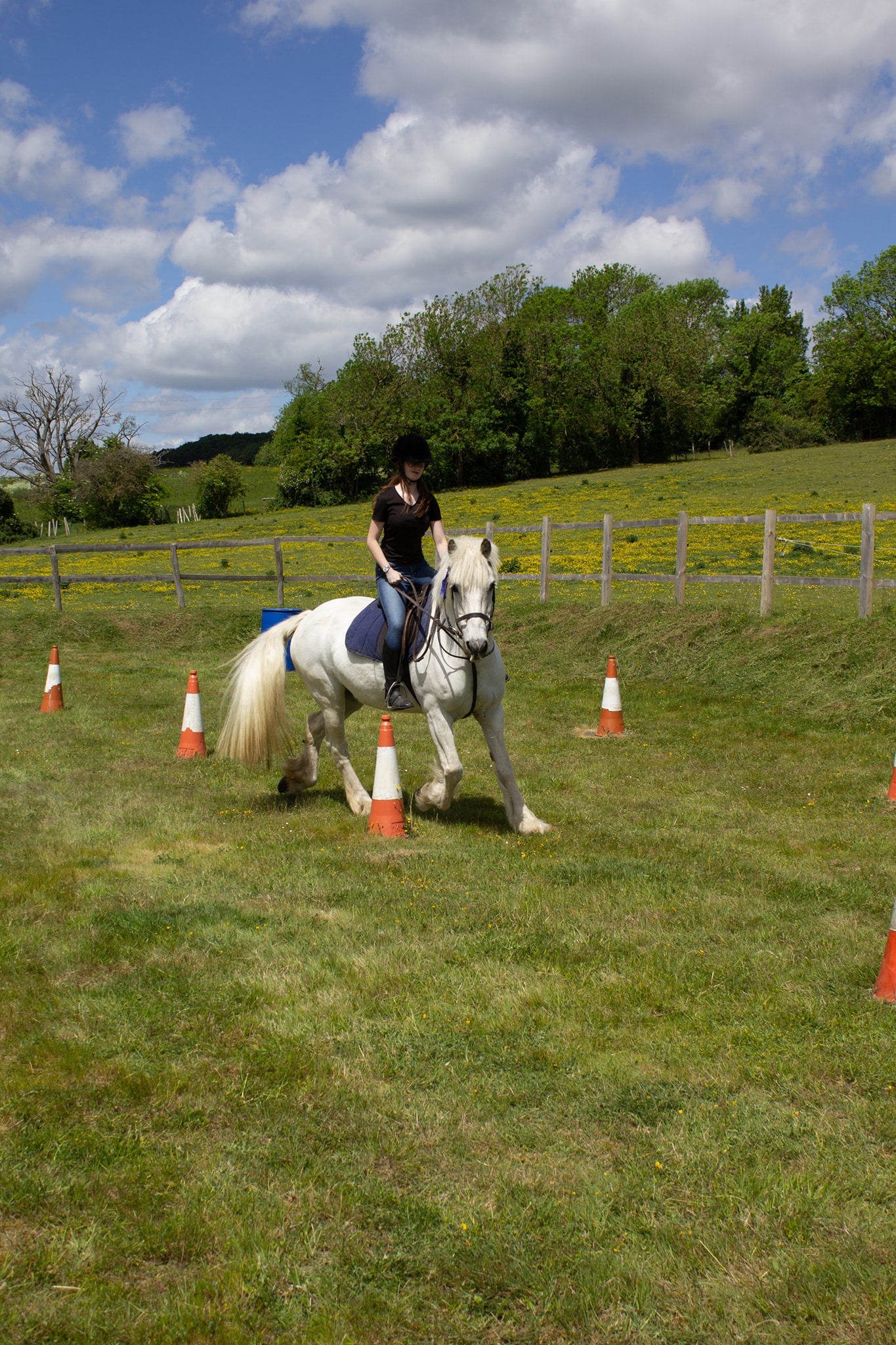 Boxley Riding School | Maidstone