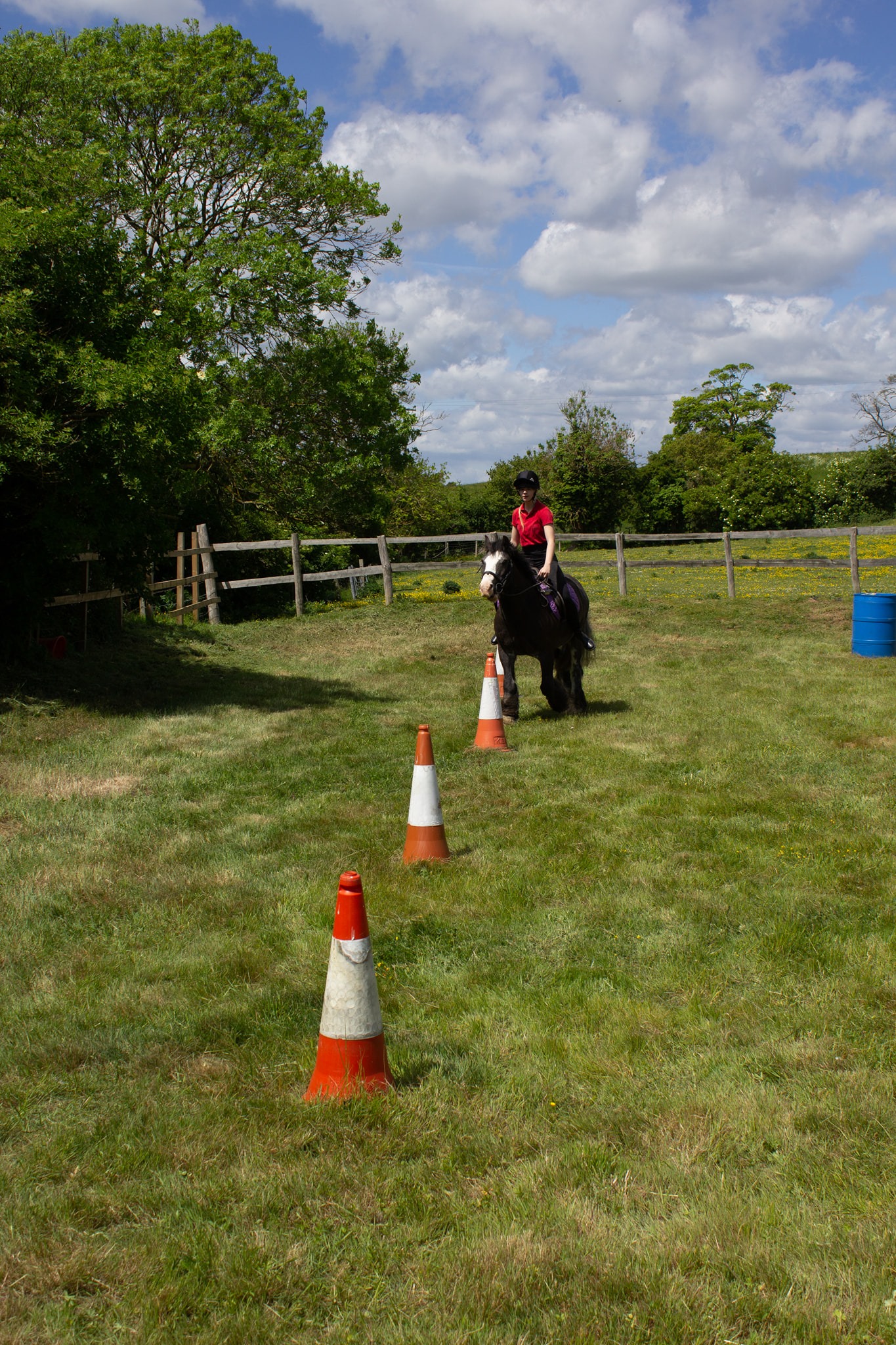 Boxley Riding School | Maidstone