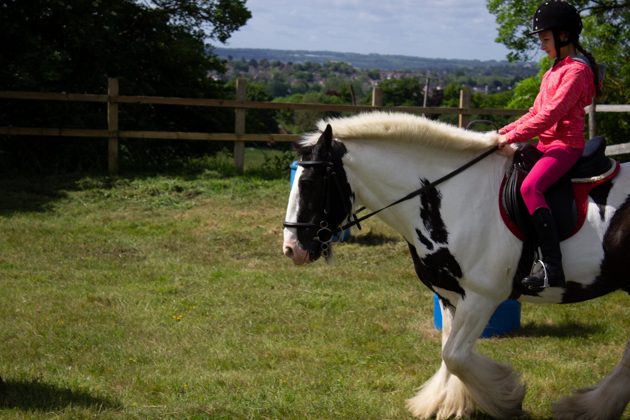 Boxley Riding School | Maidstone