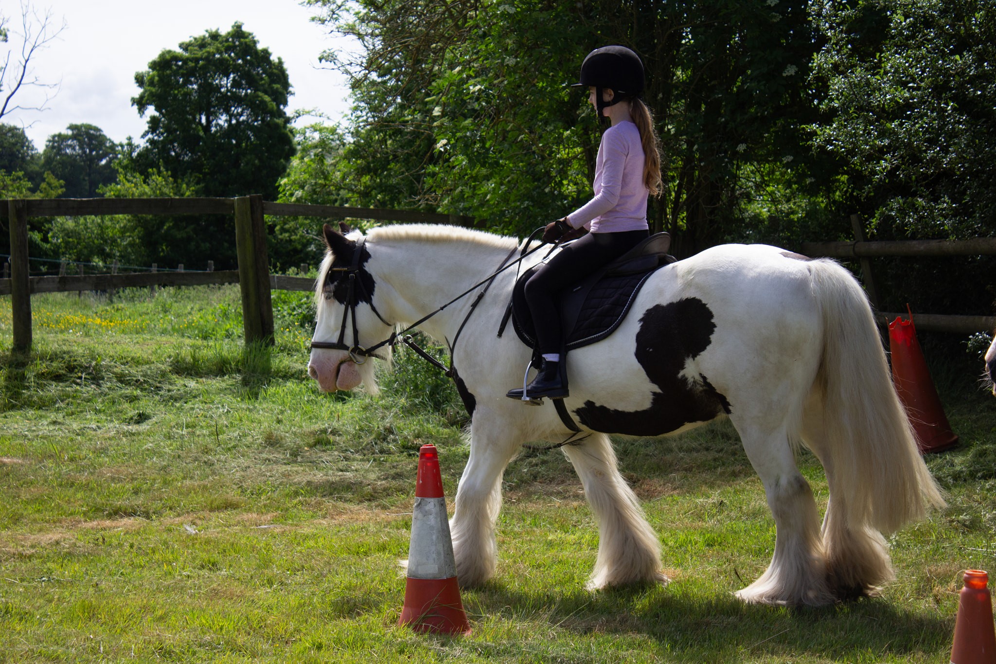 Boxley Riding School | Maidstone