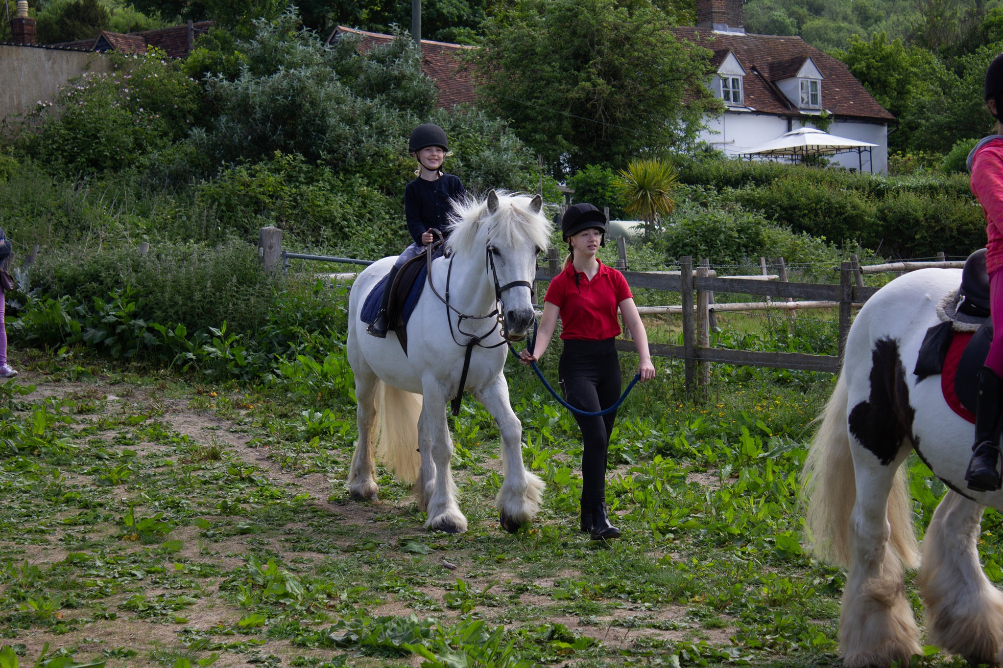 Boxley Riding School | Maidstone