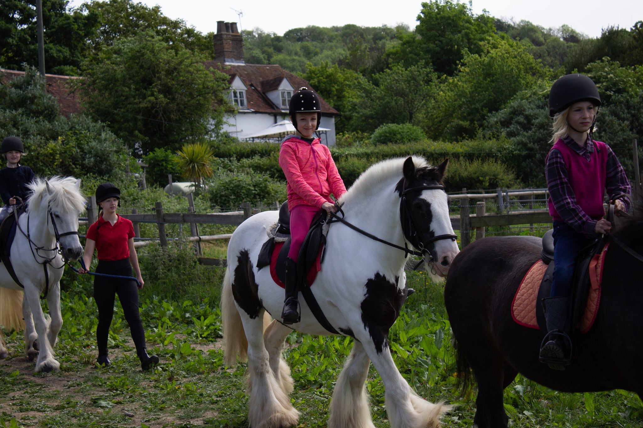 Boxley Riding School | Maidstone